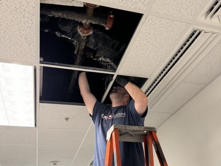 A technician on a ladder working on an elevated section of a pipe system